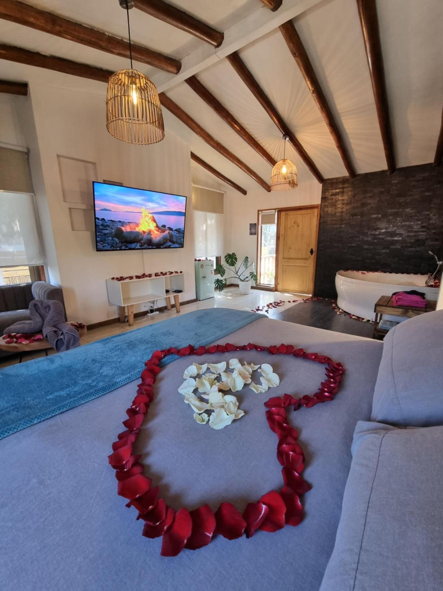 וינה דל מר Renaca House B&B מראה חיצוני תמונה